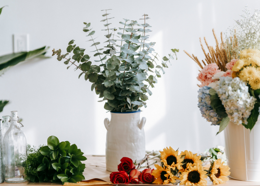 Botanical Paradise at Home