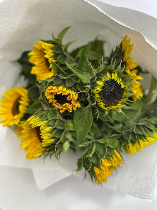 Sunflower Bunches