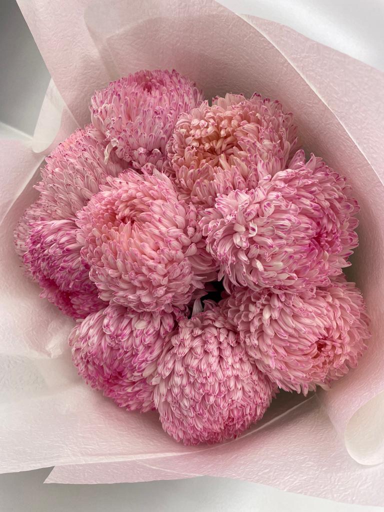 Disbud Chrysanthemum Bunches