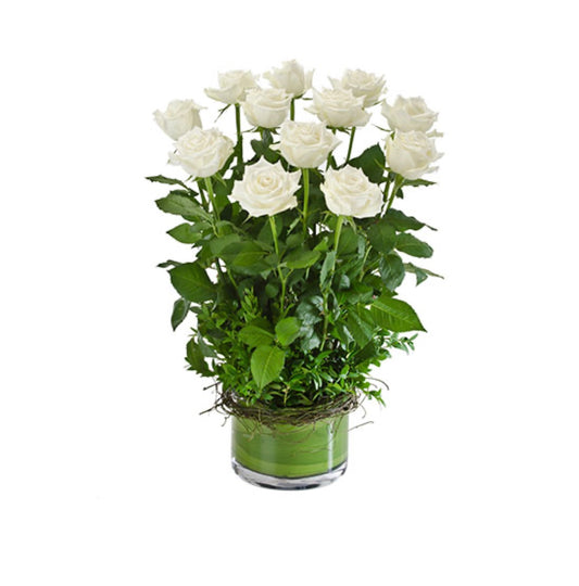 Desire White