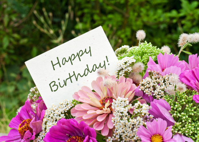 November Birth Flowers Chrysanthemum Meanings & Gift Ideas