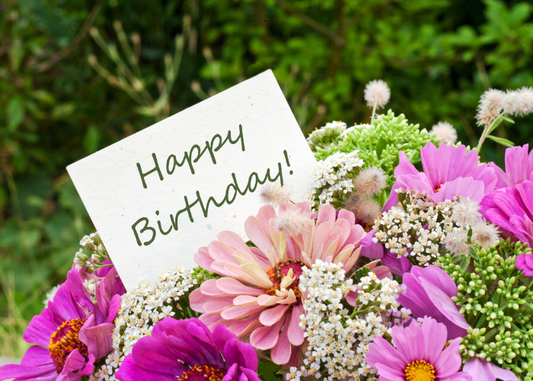 November Birth Flowers Chrysanthemum Meanings & Gift Ideas