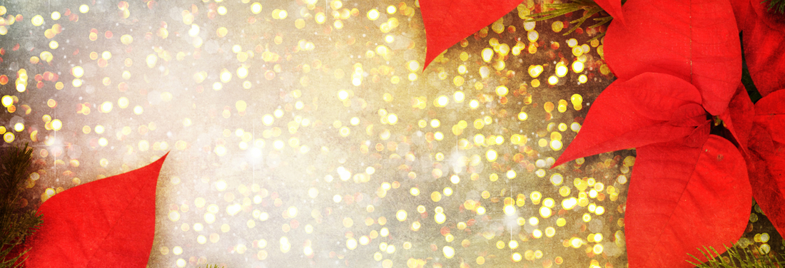 Christmas Flowers That Brighten Every Home – Celebrate the Season with Bayleaves Florist