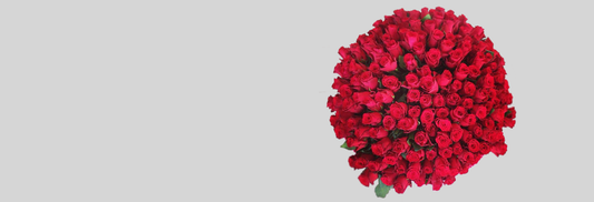 Valentine’s Day Flower Trends in Melbourne What Couples Are Loving This Year