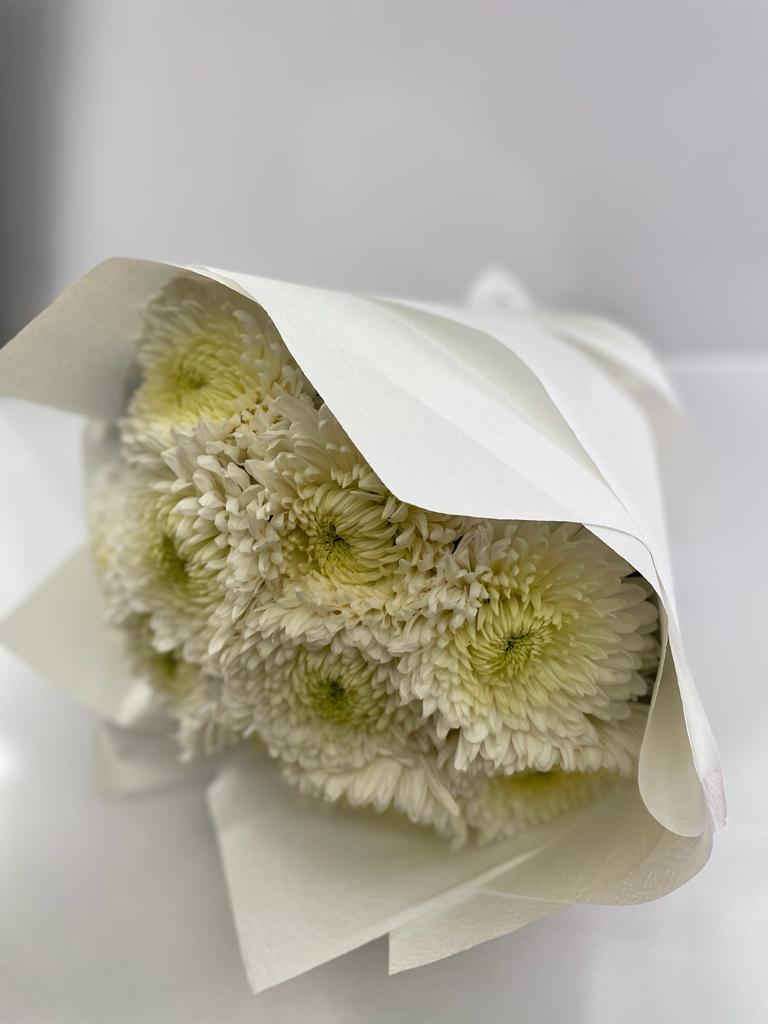 White Chrysanthemums Disbuds