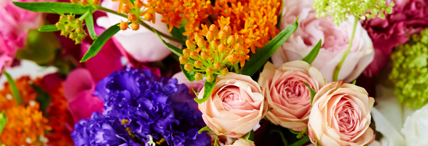 Florist Brighton Same Day Flower Delivery Flowers Online